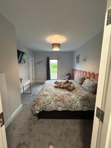 Luxury Wild Atlantic Way Chalet