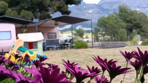 Caravana- Glamping Casa tortuga