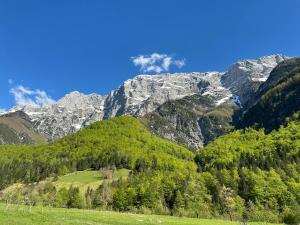 Apartma Žagar Robert