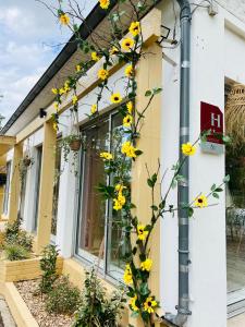 Motel Les Broussailles