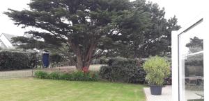 Maisons de vacances Babounia : photos des chambres