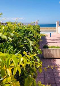 Blu Marzamemi Rooms