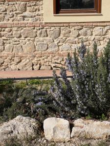 Fattoria del Borgo in Sabina