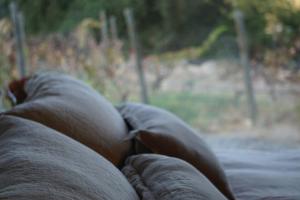 Viña LOF - Maipo Valley Bed & Breakfast in Winery