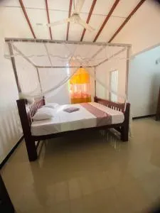 Bloom Star7 - 陶尔佩