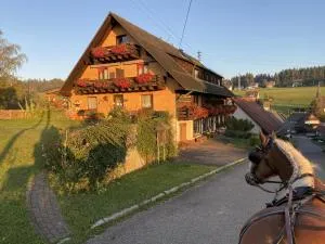 Landhaus Isolde - 黑林山区邦多夫