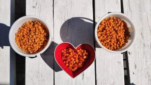 In Love with Lapland Cabin