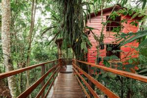 Tominejo Ecolodge - Casas en los árboles