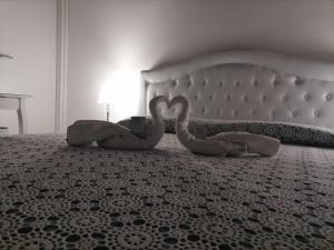 Cassiopea B&B Marina di Camerota SA