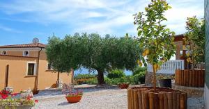 Cassiopea B&B Marina di Camerota SA