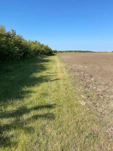 Lantgård nära stad, fiske o golf