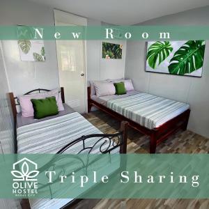 Olive Hostel Roxas City