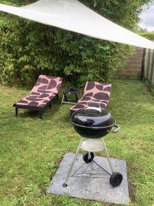 Maisons de vacances Guest house arbore : photos des chambres