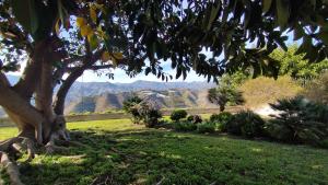 Cortijo de la luna la casita