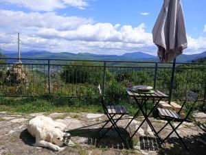 Casetta nel Podere di Massi