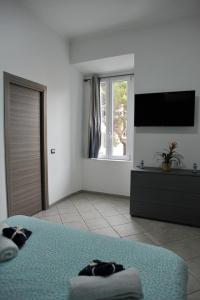 In Center apartaments