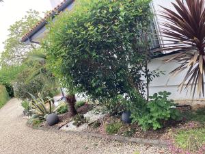 Maisons de vacances Guest house arbore : photos des chambres