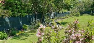 Art Galéria Apartman