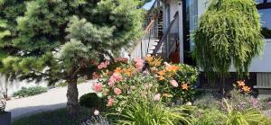 Art Galéria Apartman