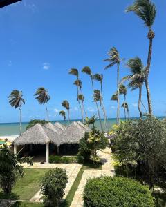 Eco Paradise Apto 214