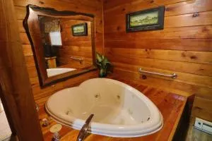 Alpine Mountain Sweetheart Cabin Jacuzzi #6 - Hood