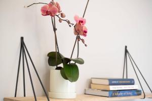 Cosy Dutch Delight Apartment