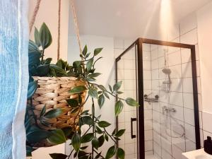 Appartements Pomme d'api - 319 : photos des chambres