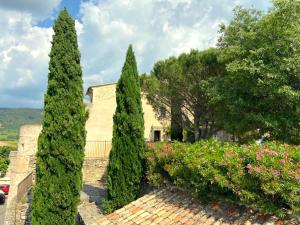 Appartements Le Petit Jardin : photos des chambres