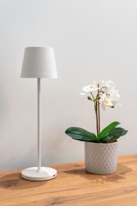 Per le vie del Conero