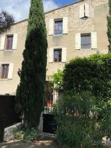 Appartements Le Petit Jardin : photos des chambres