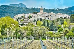 Appartements Le Petit Jardin : photos des chambres