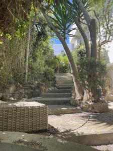 Villa Morena a pochi km da Gallipoli