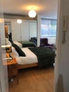 Perfect Entire Home Central London