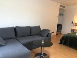 Perfect Entire Home Central London