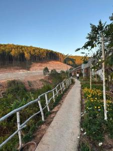 Amikaje Farm