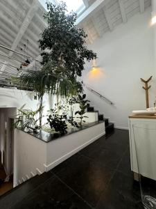 Maison contemporaine Socoa