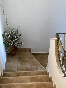 Casa Vacanze