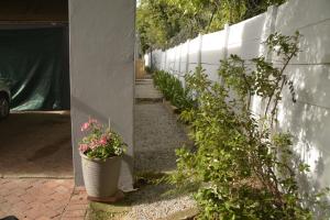 Pender House Cottage Melrose