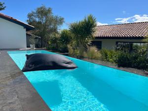 Maisons de vacances Maison contemporaine Socoa : photos des chambres