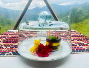 GLAMPING ASTRODOME EN PACHO