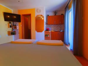 Beach apartment studio Roza Biograd