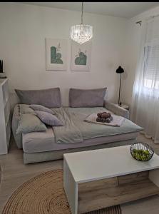 Apartman Teo