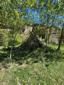 Appartements Le Refuge Familial : photos des chambres