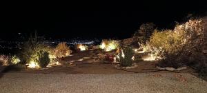 Sweet Home Nikorenia 2