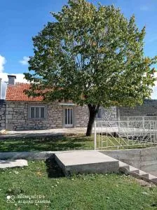 Oaza mira - Osječenica