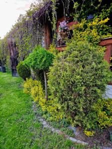 Lubię Nic przytulny dom z basenem