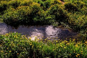 Cabañas Patagonia Rupestre