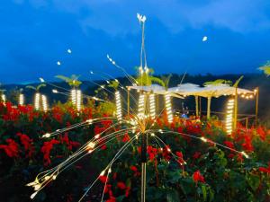 Việt Úc Flower Garden
