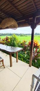 villa with rice field views in ubud