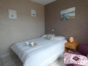 Maisons de vacances Maison lumineuse avec jardin pres de la plage - 2 chambres, animaux acceptes, WIFI, parking - FR-1-540-286 : photos des chambres
